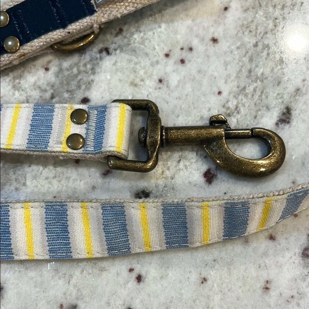 Top Paw Blue and Yellow Striped Dog Leash 4FT